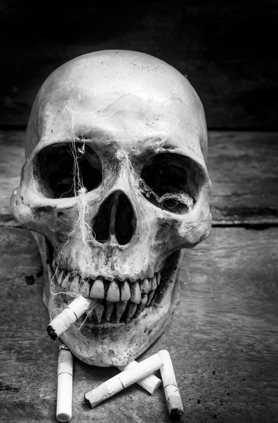 Totenkopf mit Zigaretten, Stillleben. - Foto, Bild