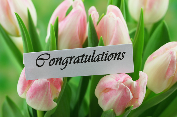Congratulations card with pink tulips - Photo, Image