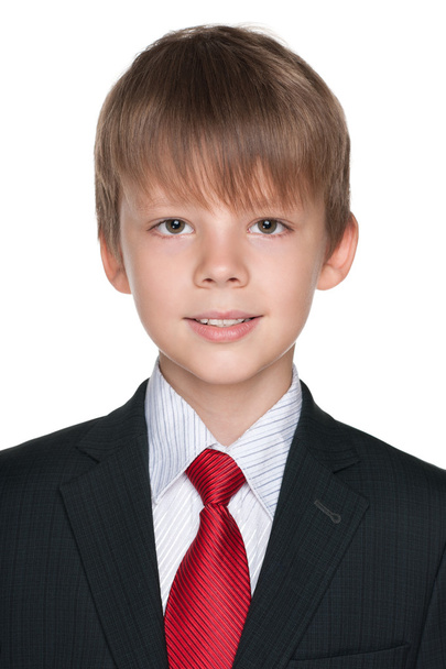 Portrait of a happy schoolboy - Fotografie, Obrázek