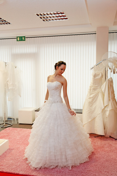 Beautiful Bride. - Photo, Image