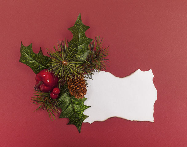 Blank Christmas note and pine needles - Foto, Bild