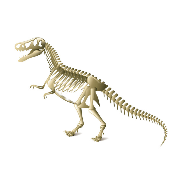 白いベクトルに分離された恐竜の骨格 - ベクター画像