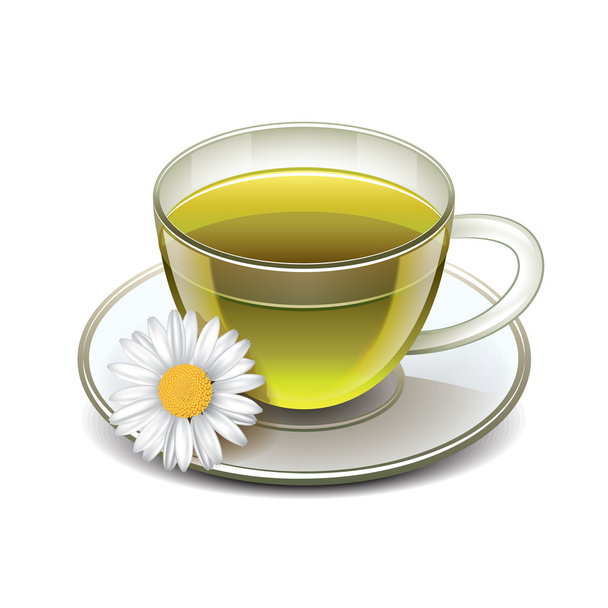 Groene thee beker met kamille geïsoleerd - Vector, afbeelding