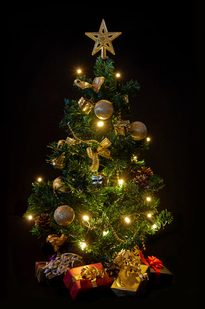 Christmas tree with lights - Photo, Image