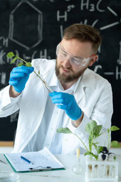 Biólogo realiza experimentos com melhoramento vegetal através da síntese de compostos, com o uso de um tubo de ensaio em um laboratório moderno - Foto, Imagem