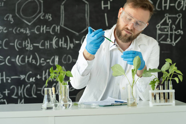 Mannelijke microbioloog voegt biologische voedingssupplement, vitaminen en mineralen uit een spuit aan groeiende groene planten. GGO-plant in het lab. Medische wetenschapper werkzaam in een laboratorium voor voedselwetenschap - Foto, afbeelding