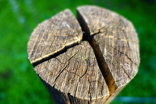 A closeup shot of a top of a circular wooden block with visible cracks and texture of the wood. India - Valokuva, kuva