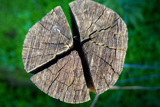 Un primer plano de una parte superior de un bloque de madera circular con grietas visibles y textura de la madera. India - Foto, imagen