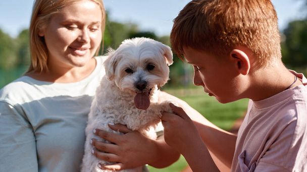 Caucasian mother and son hugging and looking at cute furry Maltese dog in blurred green park. Concept of relationship between human and animal. Idea of owner and pet friendship. Sunny summer day - Φωτογραφία, εικόνα