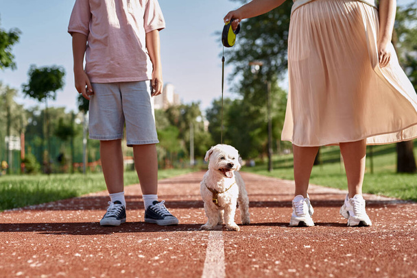 Partial mother and son walking cute furry Maltese dog on running track in park. Concept of relationship between human and animal. Owner and pet friendship. Outdoor rest and leisure. Sunny summer day - Zdjęcie, obraz