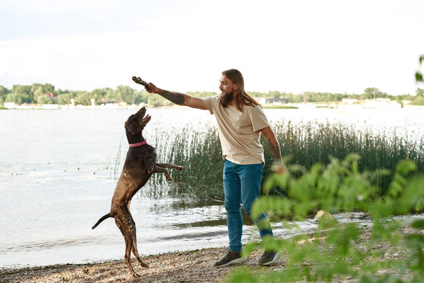 Caucasian man training his adorable Kurzhaar dog catching stick on river or lake coast outdoors. Concept of relationship between human and animal. Idea of owner and pet friendship. Sunny summer day - Фото, изображение