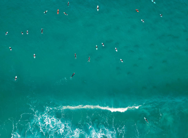 An aerial drone view of surfers on Manly Beach - Zdjęcie, obraz