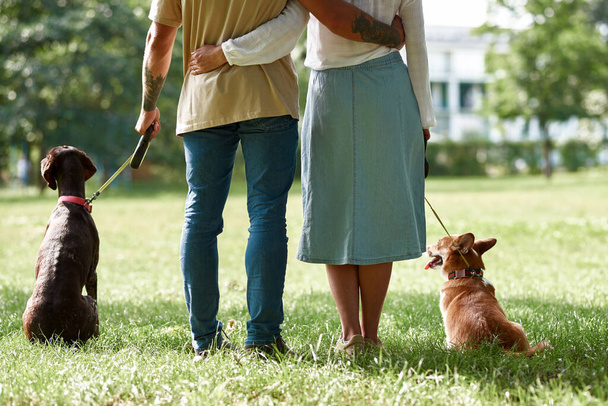 Cropped back view of couple spending time with Corgi and Kurzhaar dogs in park. Man and woman embracing on green lawn. Romantic relationship and closeness. Owner and pet friendship. Sunny summer day - Photo, Image