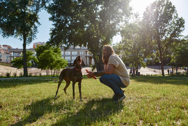 Caucasian man holding dog rubber ring during playing with Kurzhaar dog on green lawn in city park. Concept of relationship between human and animal. Idea of owner and pet friendship. Sunny summer day - Fotoğraf, Görsel