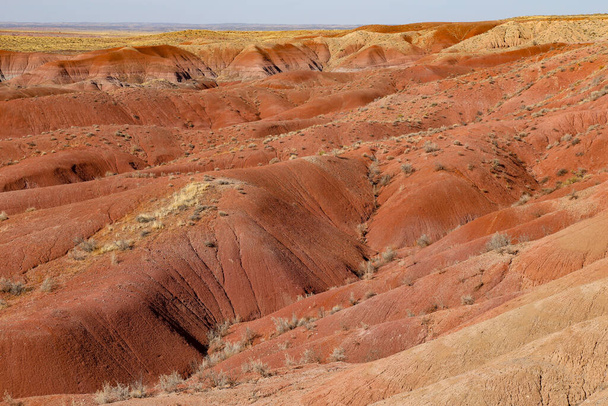 A landscape view of red dry badlands in a desert under the sunlight - Zdjęcie, obraz