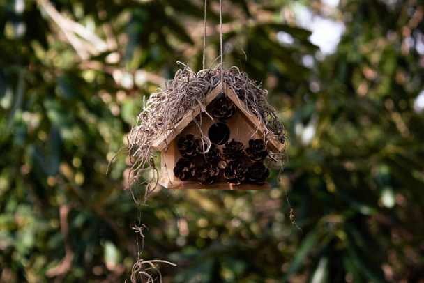 A selective focus of a small wooden birdhouse hanging from a tree - Photo, image