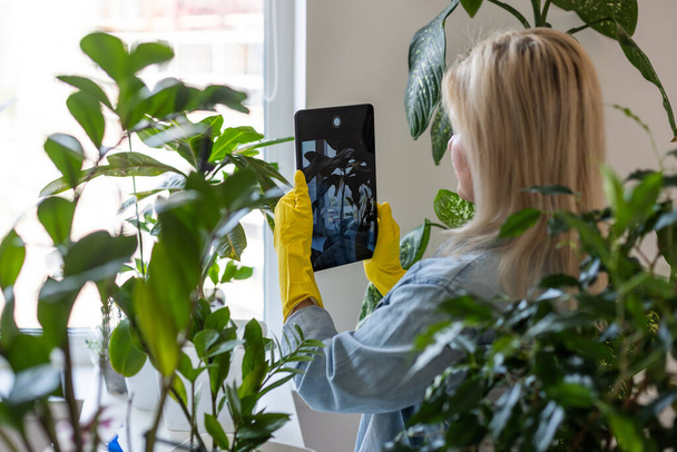 Frau pflanzt Pflanze in einen neuen Blumentopf. Junge schöne Frau pflegt Topfpflanzen mit Tablette - Foto, Bild