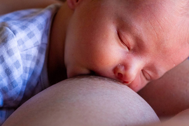 newborn baby trying to breastfeeding with her mother - Foto, Imagen
