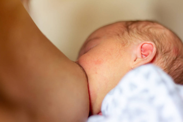 новонароджена дитина намагається грудного вигодовування з матір'ю
 - Фото, зображення