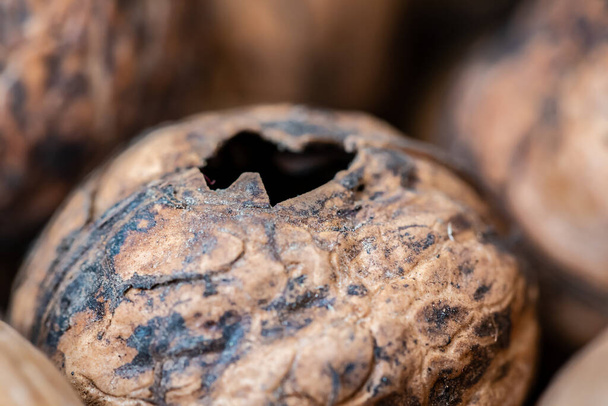 A selective focus shot of a small hole on a greek walnut - Fotó, kép