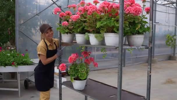 Veselý dospělý ženský květinář tlačit vozík s muškát květiny v květináčích ve skleníku - Záběry, video