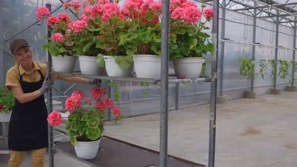 Donna felice fiorista che lavora nel negozio di giardinaggio spingendo carrello in metallo con piante in vaso - Filmati, video