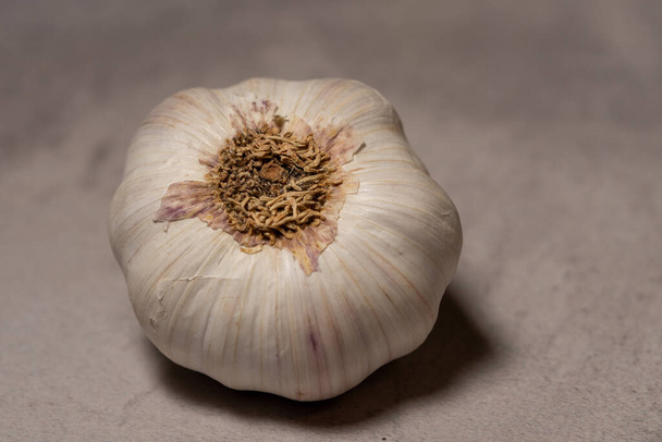 A top view of a garlic isolated on a gray table - Fotó, kép