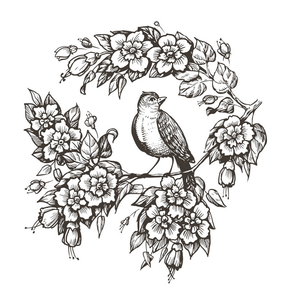 Bird on branch vector. Nightingale and flowers hand drawn sketch in vintage engraving style - Vektor, Bild
