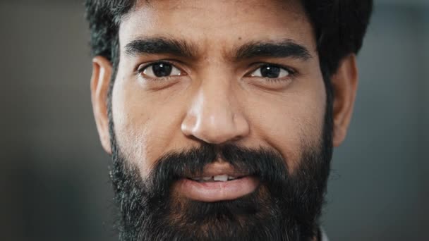 Közelkép portré férfi szakállas arc felnőtt barna férfi sötét barna szemgolyókkal néz kamera mosolygó spanyol indián pozitív fiatal srác jóképű intelligens személy jó hangulat pózol beltéri - Felvétel, videó