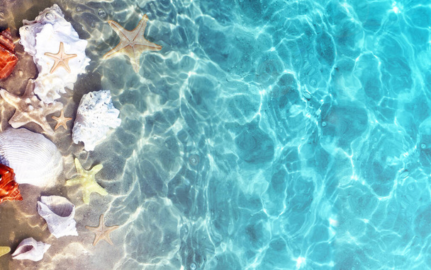 Морские звезды и ракушки на летнем пляже в морской воде. Летний синий фон. Летнее время. - Фото, изображение