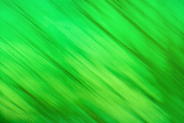 Zelený opar na pozadí. Zelená olivová barva rozmazaný pohyb z ohniska pozadí. - Fotografie, Obrázek