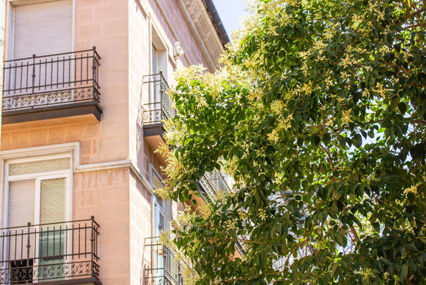 Madrid, Spanien. 1. Juni 2022. Fassade eines alten Mehrfamilienhauses, Wohnhaus mit schönen Balkonen an der europäischen Straße im Sommertag, grün blühender Baum. Architektur.  - Foto, Bild