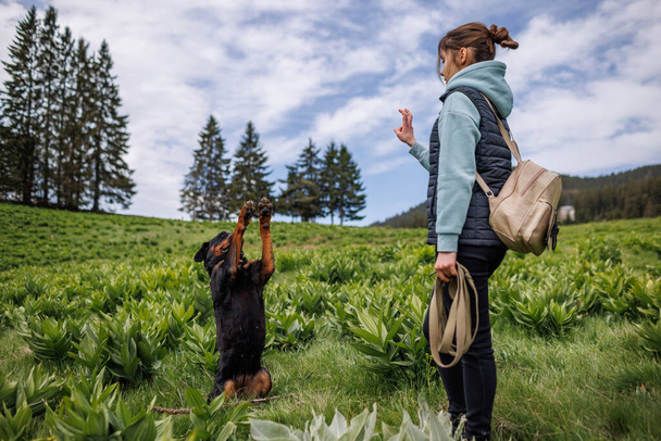 Cheerful attentive strict teenage girl in suit stands and gives commands to her big obedient trained friend dog of Rottweiler breed, on green meadow with mountain vegetation - 写真・画像