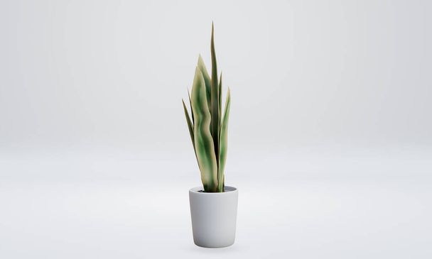 Green air snake plant Baum gepflanzt weißen Keramik-Topf isoliert auf weißem Hintergrund. 3D Rendering, Illustration.   - Foto, Bild