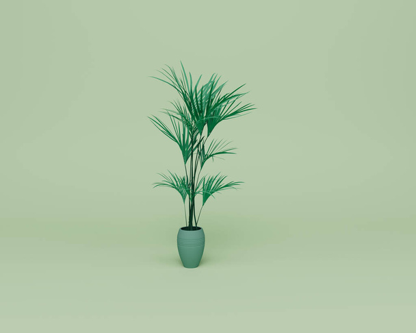 3d render of Areca Palm houseplant isolated on Pastel background, 3d background minimal scene - Foto, Imagen