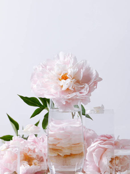 A vertical shot of beautiful pink peony flowers in a glass vase on a white background - Fotografie, Obrázek
