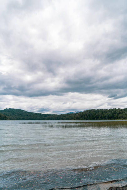A vertical shot of a beautiful lake and the dense forest in the background on a cloudy day - Фото, изображение
