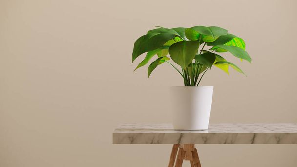 A white plants pot on granite table with wood stand against beige wall - Foto, afbeelding