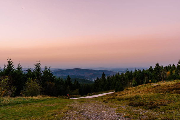 A green coniferous trees with hill and red sky on the background - Fotoğraf, Görsel