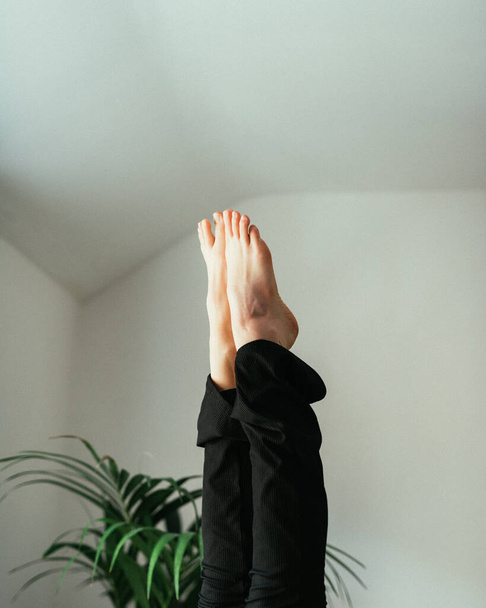 A vertical shot of a woman's feet upside down against a walla and a houseplant - Fotoğraf, Görsel