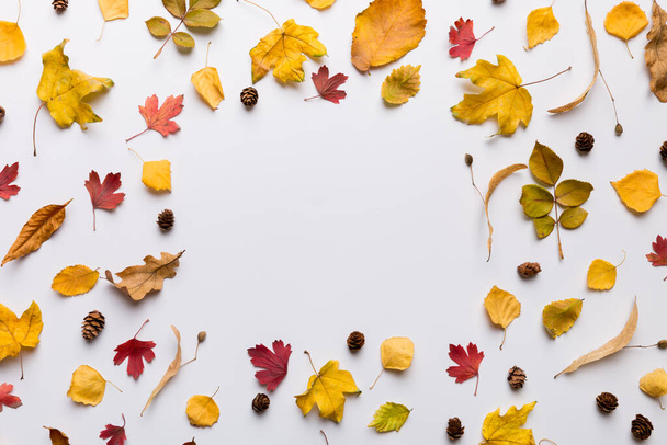 Podzimní složení ze sušených listů, šišek a žaludy na stole. Byt ležel, horní pohled. - Fotografie, Obrázek