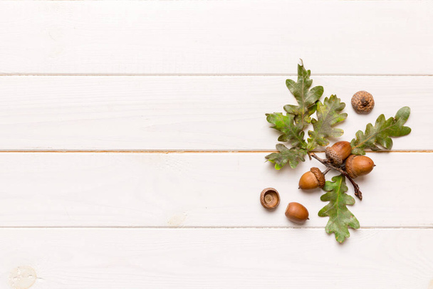 Branch with green oak tree leaves and acorns on colored background, close up top view. - Foto, Imagen