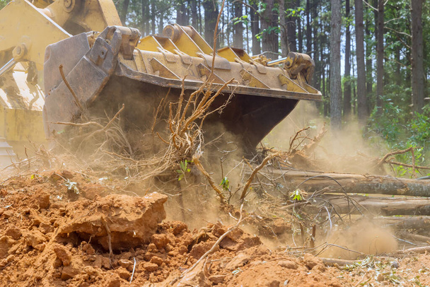 新開発建設現場のための森林清掃中の林業作業用バックホウ - 写真・画像
