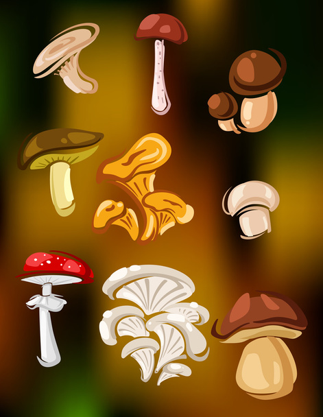 Värikäs joukko vektorisieniä ja sieniä
 - Vektori, kuva