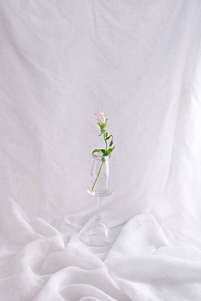 A vertical shot of a bouquet of eustomas in the vase - 写真・画像