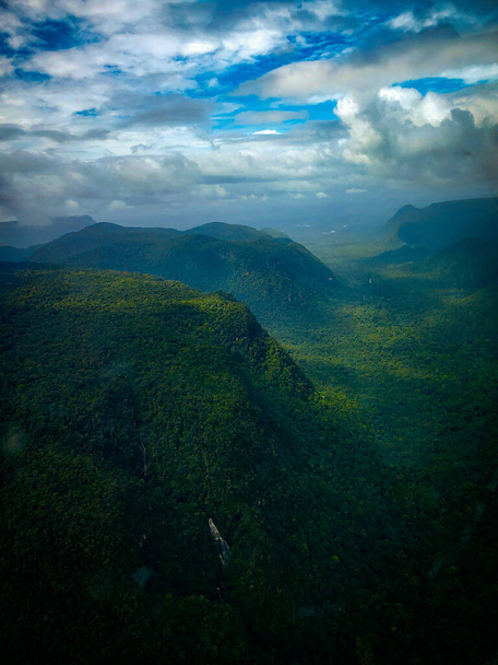 A vertical shot of a beautiful forest on a cloudy day - Fotó, kép