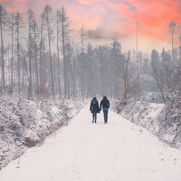 A beautiful view of people walking in a snowy forest - Фото, изображение