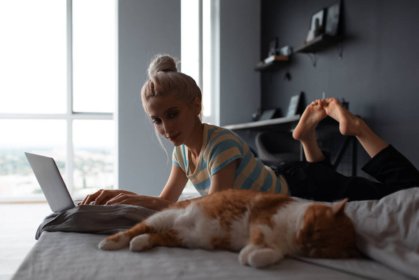 Blondes hübsches Mädchen mit Haarschopf arbeitet zu Hause am Laptop, liegt mit Katze im Bett. - Foto, Bild