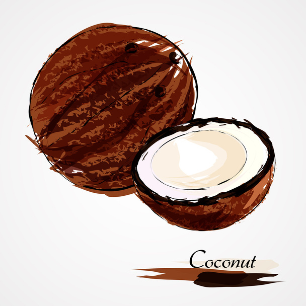 кокос
 - Вектор, зображення