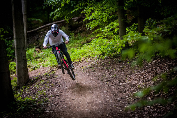 A closeup of a person riding a bicycle in a forest - Foto, Bild